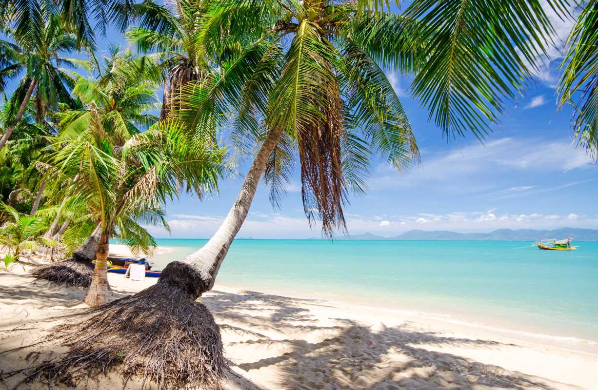 Explore 10 Eco-Friendly Island Retreats for a Conscious Getaway