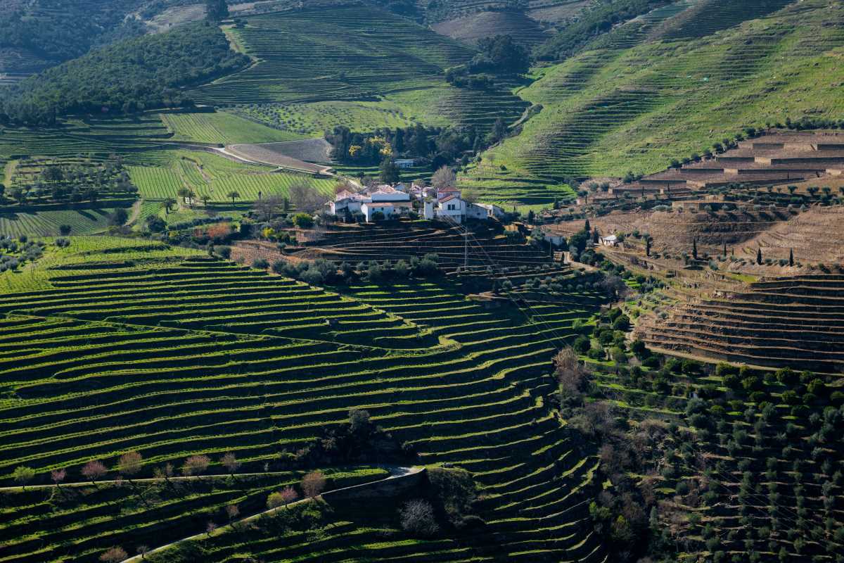Get Essential Advice for Exploring World Heritage Sites on a Budget
